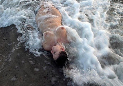 Анкета Мила с реальными фото